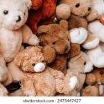 绿色小导航 地址:探索环保出行新方式,畅享绿色生活! 4o2iae4a8