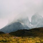 畅享星空影院:免费电视剧观看软件推荐与使用指南 eqf393p