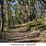 绿色小导航发布地址:探索环保生活新方式的便捷平台 lkfc9