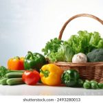 绿色小导航:探索环保生活方式的智能助手与指南 ql1bi41h85